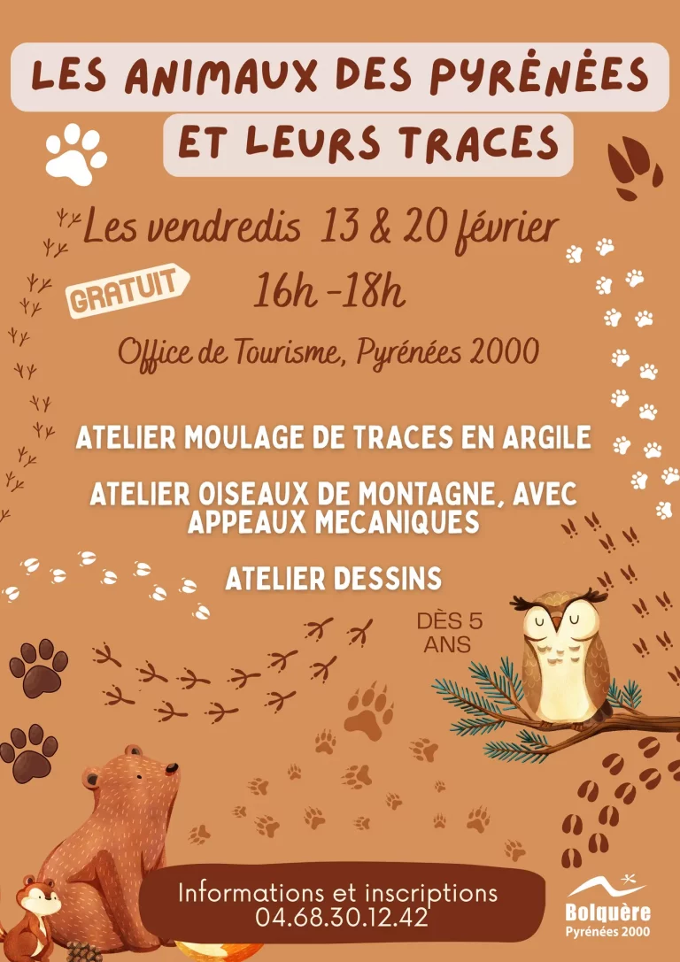 Atelier à Bolquère le 13 février : Explorez les animaux des Pyrénées