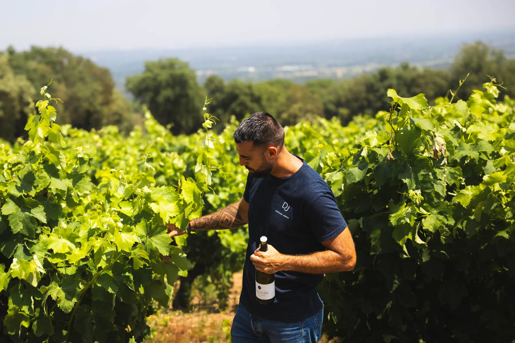 Oeno-Balade à Sorède avec le Domaine Deprade-Jorda en février 2025