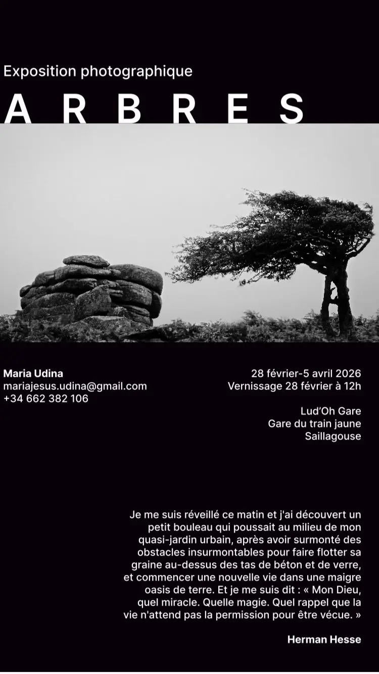 Exposition à Saillagouse (28 février - 5 avril) : Les arbres sublimés par Maria Udina