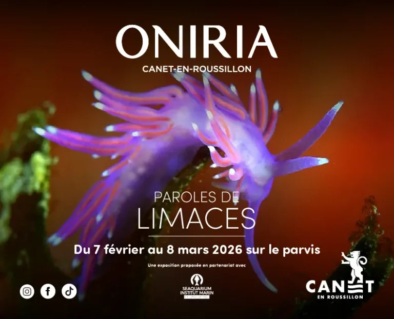 Exposition XXL Oniria à Canet-en-Roussillon : Plongée dans le monde fascinant des limaces de mer