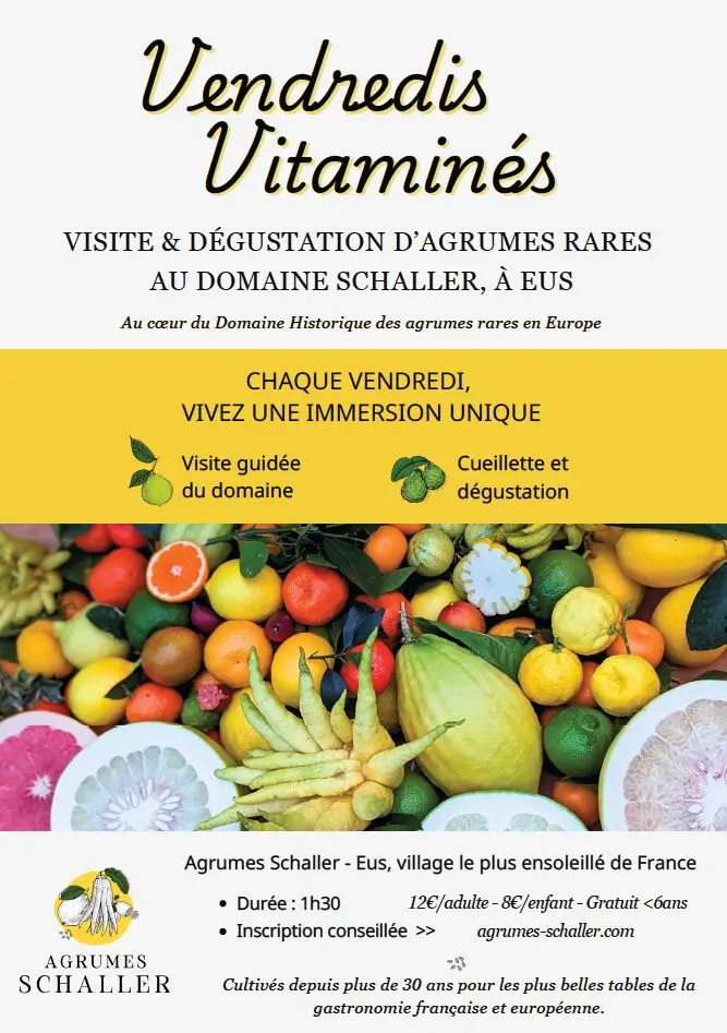 Vendredis Vitaminés à Eus (1er janvier - 31 mars) : Une immersion au cœur des agrumes rares