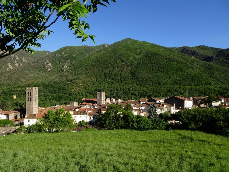 Arles-sur-Tech - 18 février - Visite guidée : Découvrez l'histoire et le patrimoine local