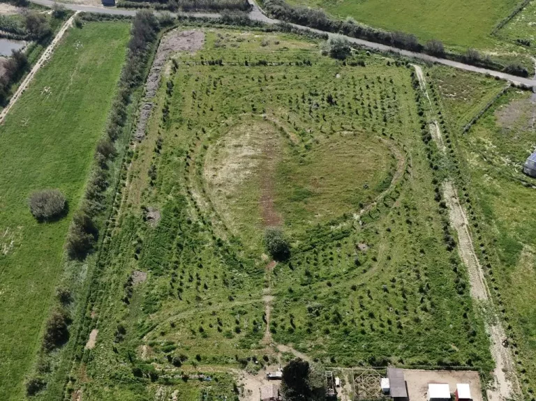 Torreilles, 21 mars 2024 : Atelier Artistique autour d'Etel Adnan, une ode à la nature