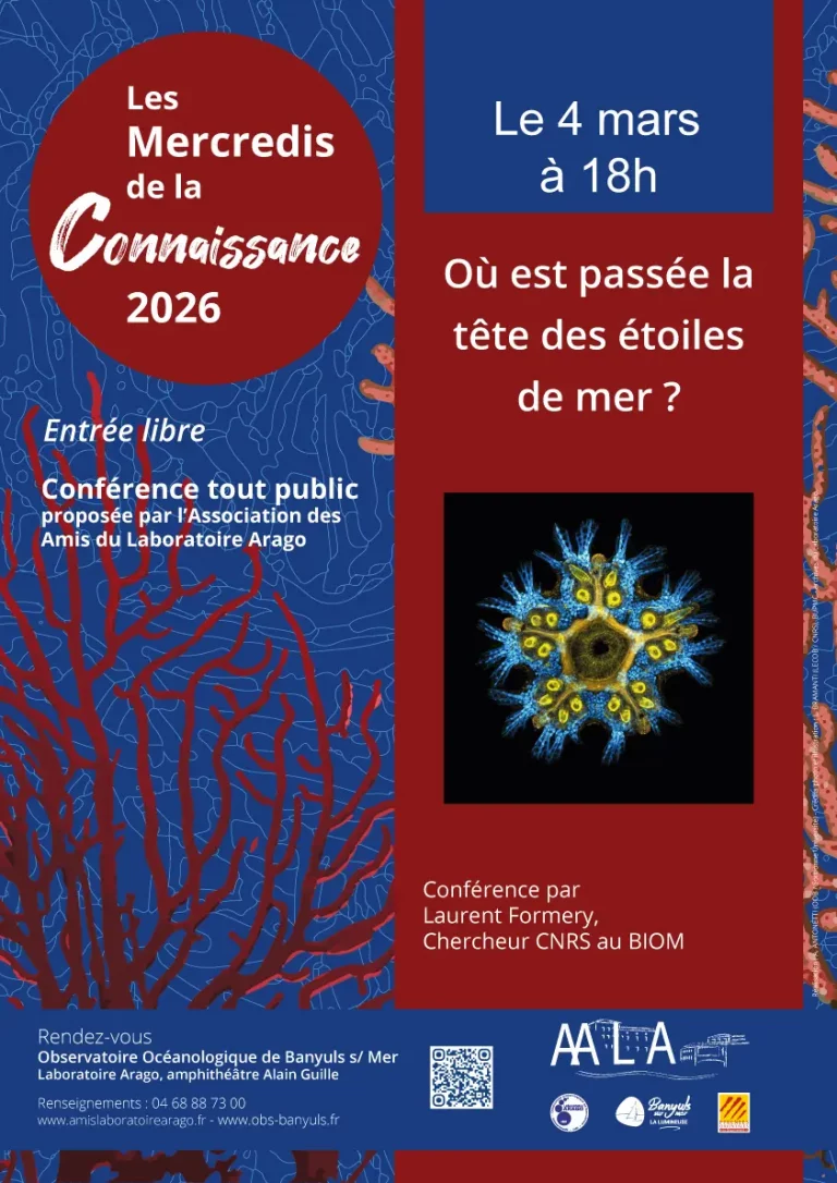 Conférence à Banyuls-sur-Mer - 4 mars 2024 : Découvrez le mystère des étoiles de mer