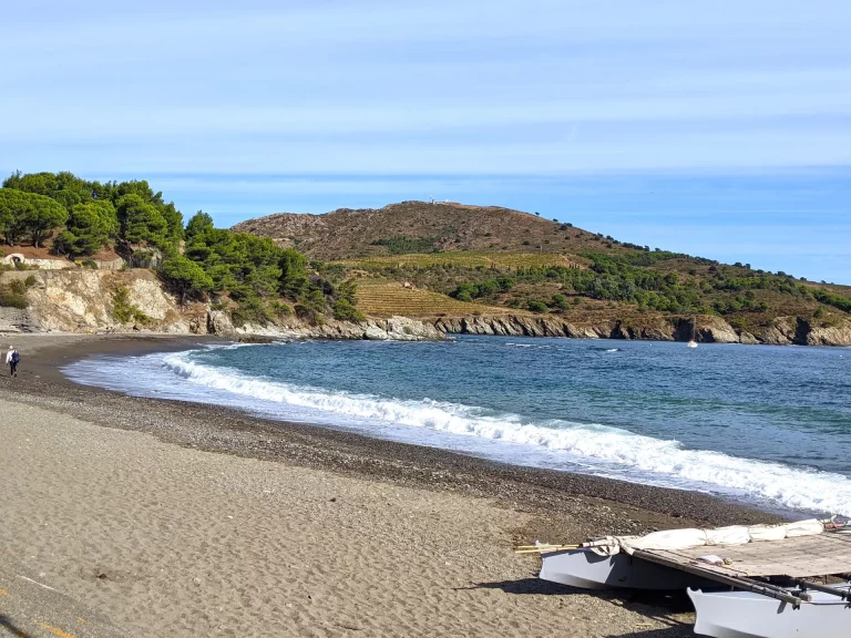 Port-Vendres 2024 - Exposition « 365 Jours à Paulilles » - Une immersion nature et poésie