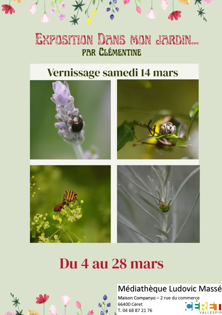 Céret - Mars 2026 - Expositions d'art à la Médiathèque Ludovic Massé : Nature et oiseaux à l'honneur