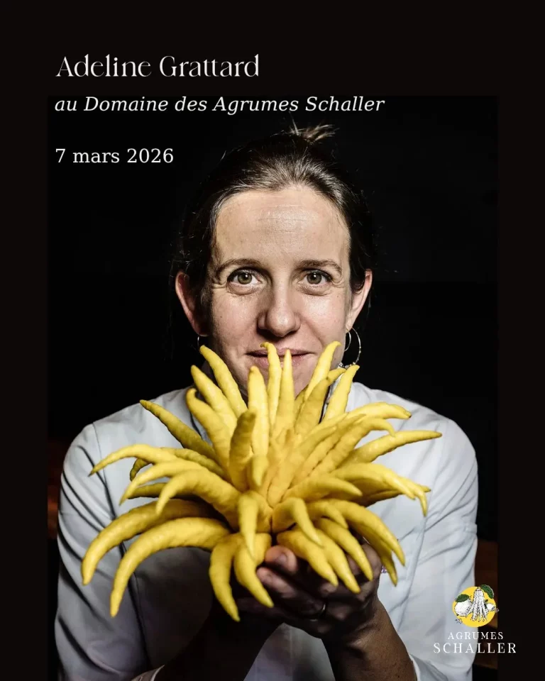 Journée gastronomique à Eus avec Adeline Grattard - 7 mars 2024