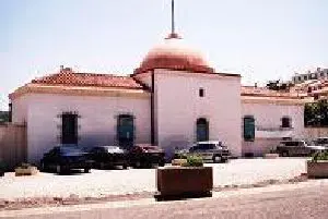 Exposition à Port-Vendres (février-avril) : Oiseaux et Art, une immersion culturelle inédite