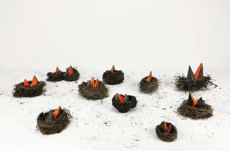 Exposition à Céret : 3 avril > 9 mai – Les carnivores et les oiseaux de Pierre Fauret