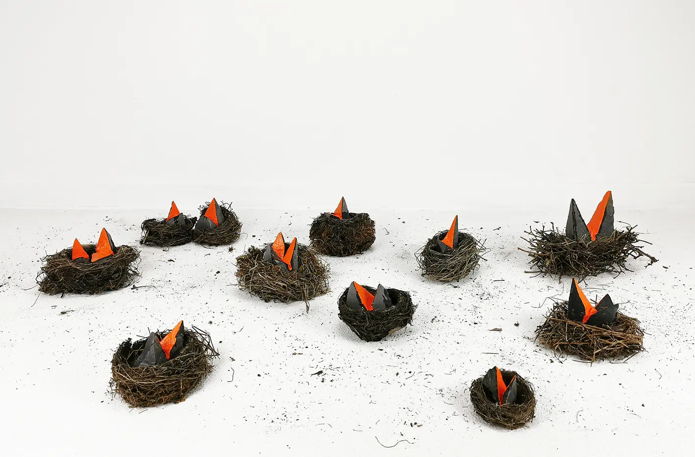 Exposition à Céret : 3 avril > 9 mai – Les carnivores et les oiseaux de Pierre Fauret