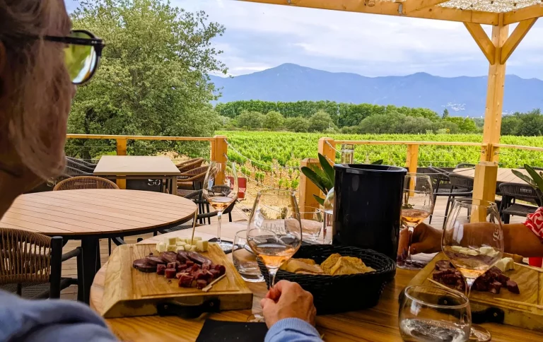 Elne - Avril 2023 - Immersion et dégustation au Domaine Sol Payré