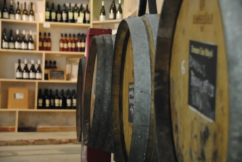 Apéritif vigneron à Port-Vendres : Dégustez les trésors du Domaine Claire Mayol