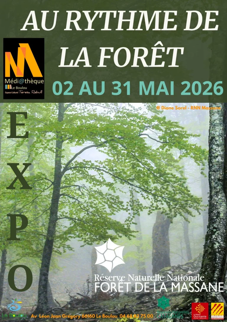 Le Boulou, mai 2023 : Exposition immersive sur la forêt de la Massane, joyau naturel et artistique