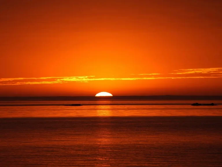 Exposition à Le Barcarès du 13 mai au 26 juin : « J’veux du soleil », un hymne lumineux au printemps