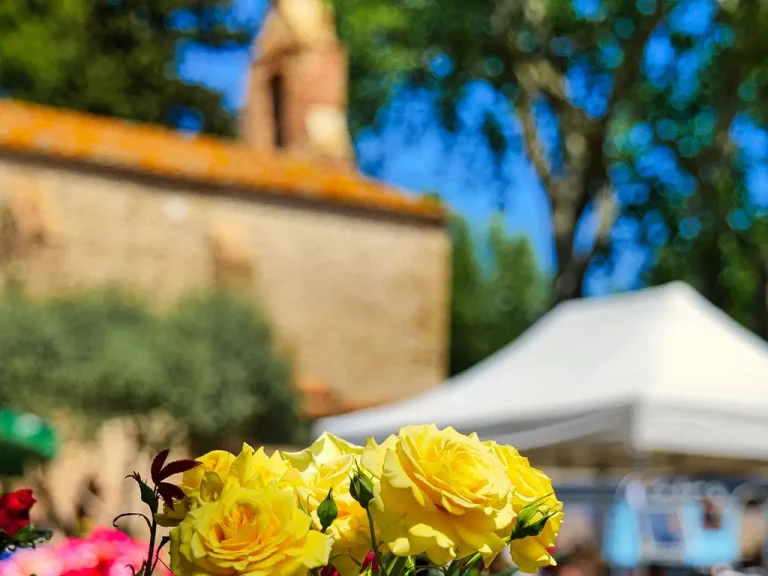 Floralies de Torreilles 2023 : Deux jours de nature et de découvertes en mai