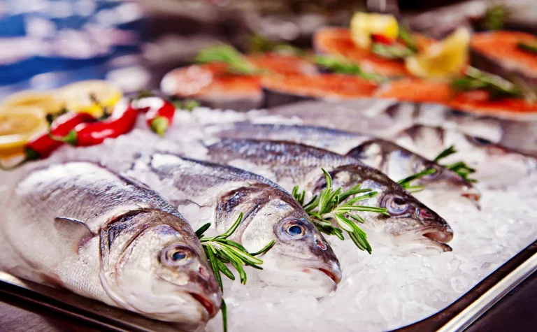 Marché du Quai des Pêcheurs à Saint-Cyprien : tout au long de l'année, une immersion authentique