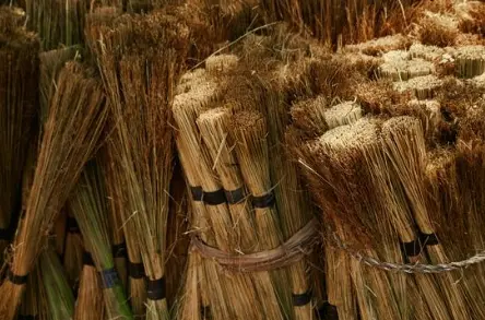 Sainte-Marie-la-Mer – 20 juin : Découvrez les traditions catalanes des Ramallets de la Sant Joan