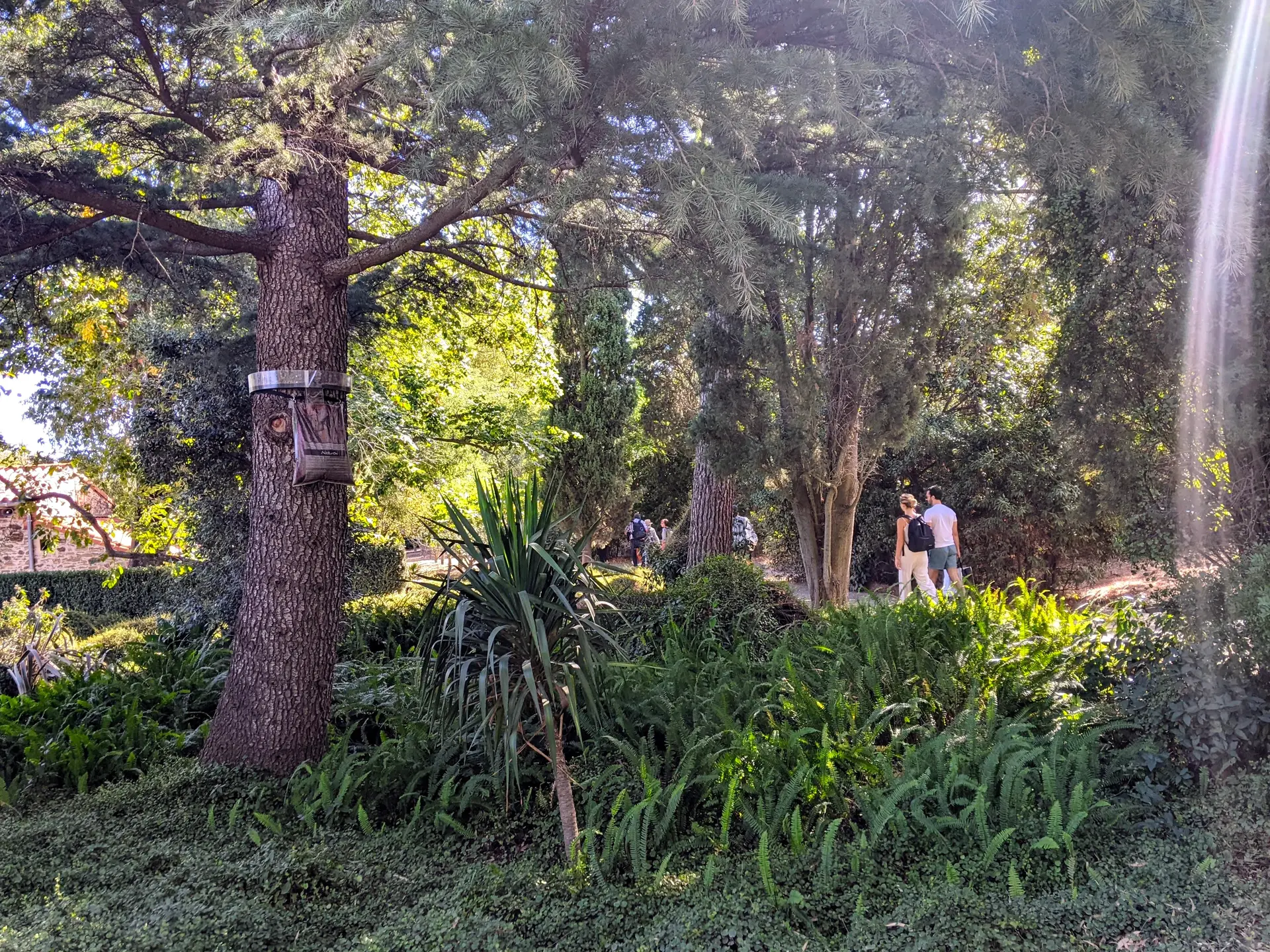 Port-Vendres - Mai à Septembre - Visite guidée à Paulilles : Nature et Histoire